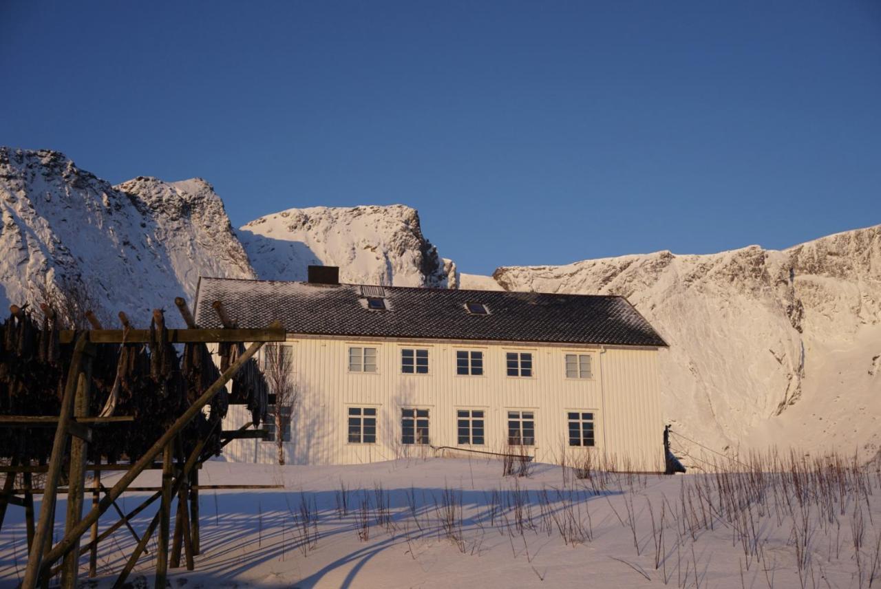 Catogarden - Boutique Home & Activity Centre Reine Eksteriør billede